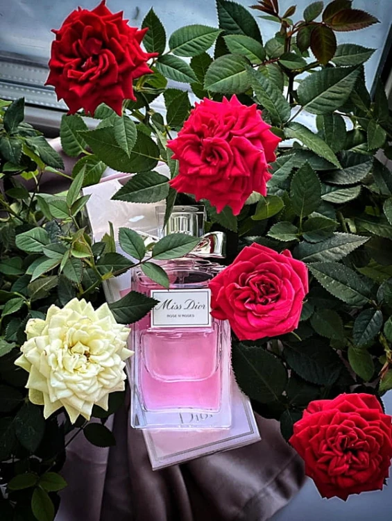 066092ddcb2ee154d8455e6573dacf10